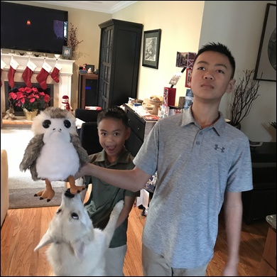 2017 - Palo Alto, CA - Christmas