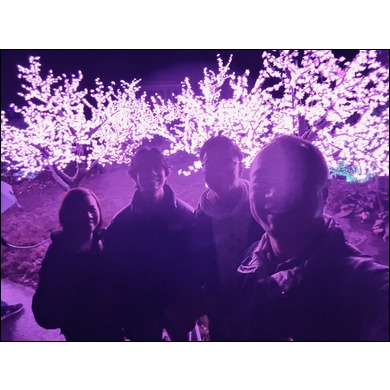 2025 - San Francisco Botanical Garden - Lightscape