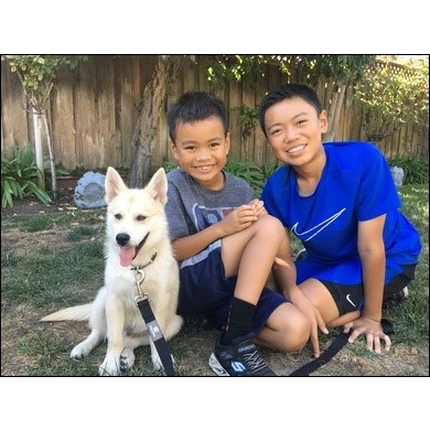 2017 - Palo Alto, CA