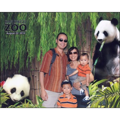 2010 - San Diego Zoo