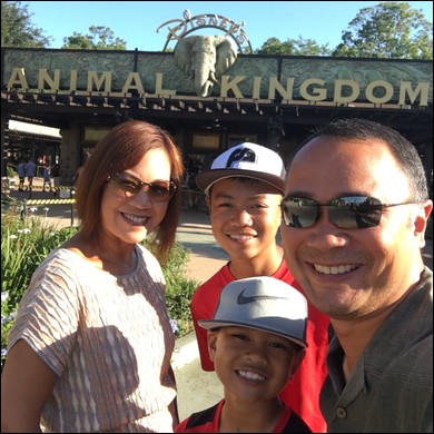 2018 - Animal Kingdom